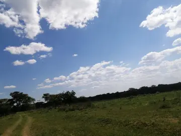 Farm & Agricultural Land