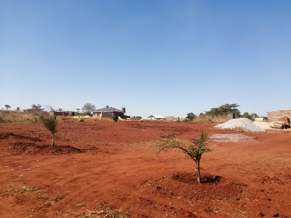 Stands & Residential Land