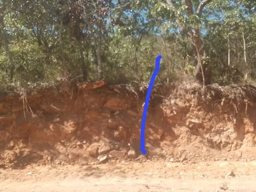 Farm & Agricultural Land