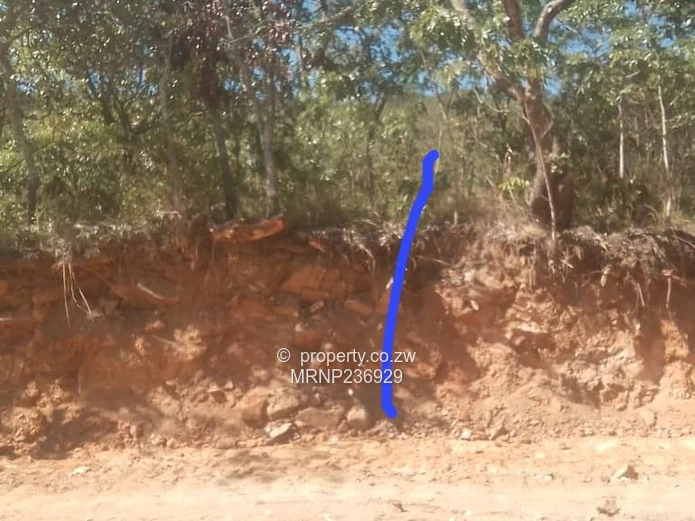 Nyanga Agro-Residential Plots for sale