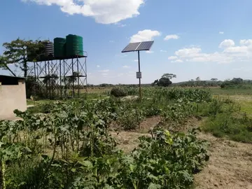 Farm & Agricultural Land