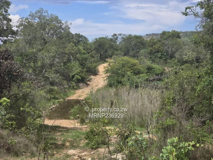 Nyanga Agro-Residential Plots for sale