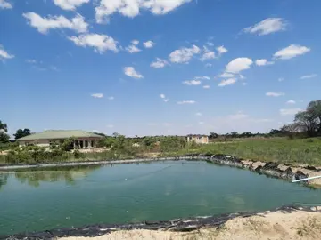 Farm & Agricultural Land