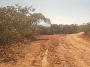 Farm & Agricultural Land