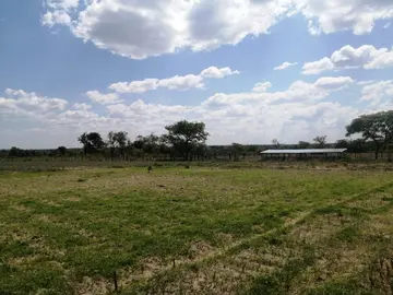 Farm & Agricultural Land