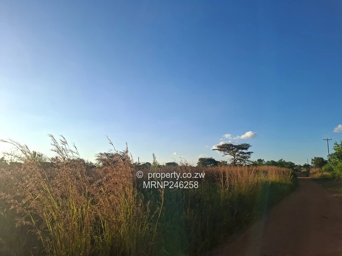 Ngezi Plots for sale