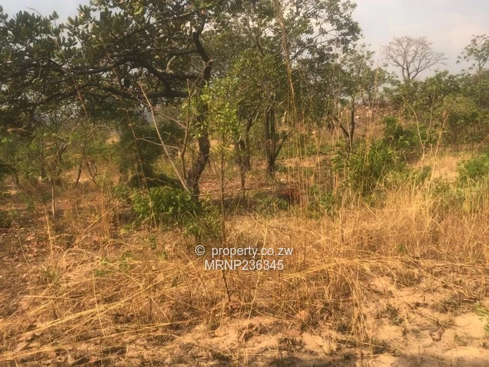 Crowhill Chizhanje Stand for sale (Sole Mandate)