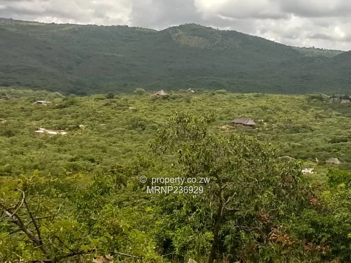 Nyanga Agro-Residential Plots for sale