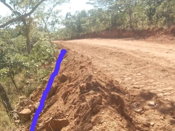 Farm & Agricultural Land