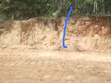 Farm & Agricultural Land