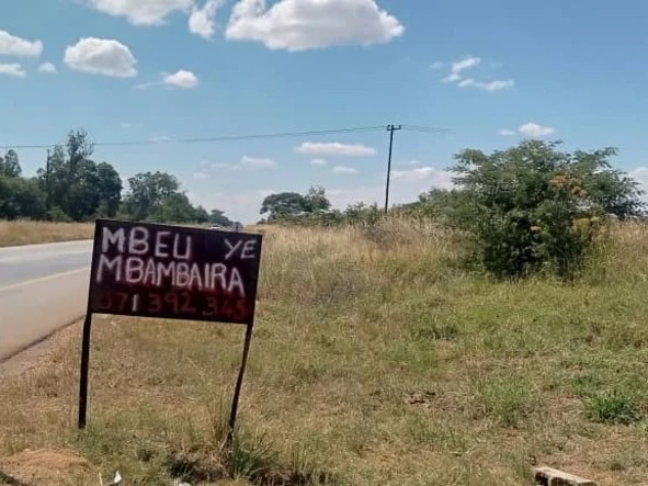 Beatrice Agro-Commercial land for sale