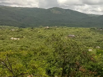 Farm & Agricultural Land