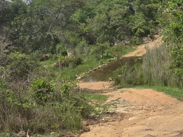 Farm & Agricultural Land